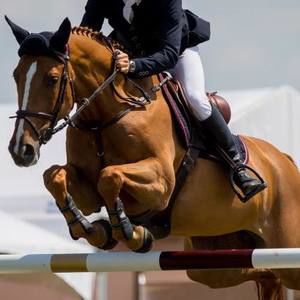 Meet your Posher, Donna